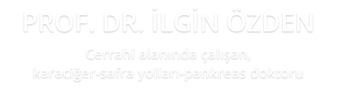 Prof. Dr. İlgin Özden - Cerrahi alanında çalışan, karaciğer-safra yolları-pankreas doktoru